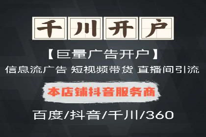 某行业领军企业的SEM广告投放策略